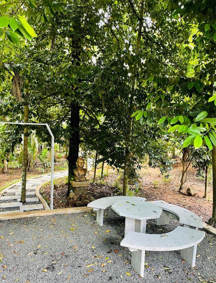 Kayyalas Courtyard Thrissur Exterior foto