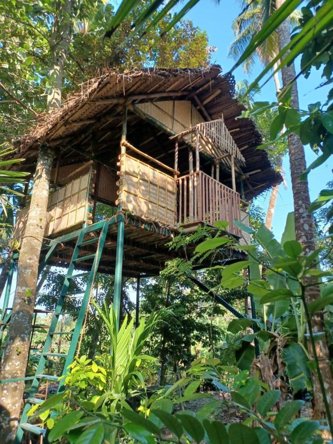 Kayyalas Courtyard Thrissur Exterior foto